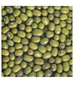 Graines à germer - Haricot Mungo (soja vert) BIO, 200 g